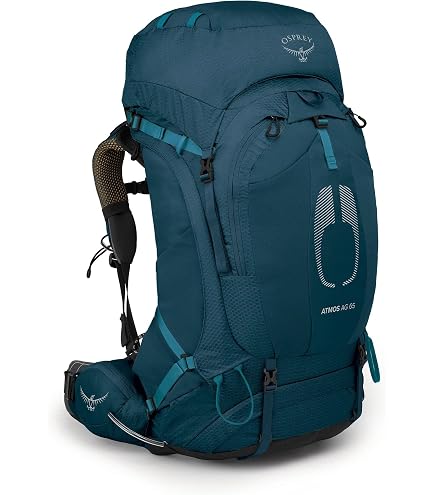 Osprey Aura AG 65L Women's Backpacking Backpack, Enchantment Purple, WXS/S : Sports & Outdoors