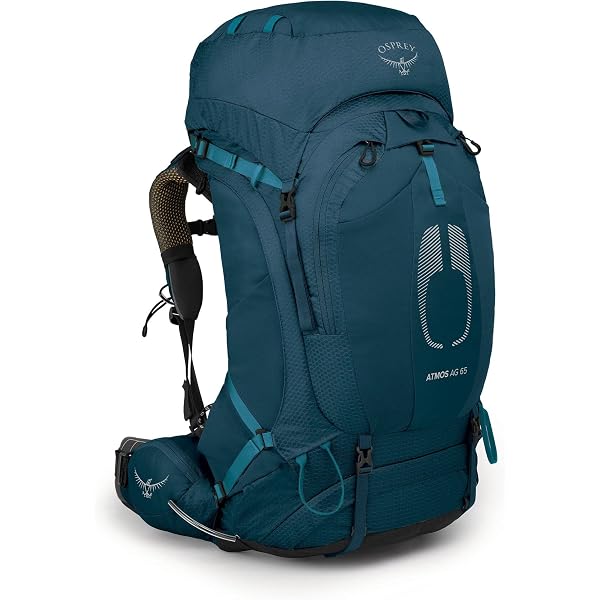 Amazon.com : Osprey Aether 65L Men's Backpacking Backpack, Garlic