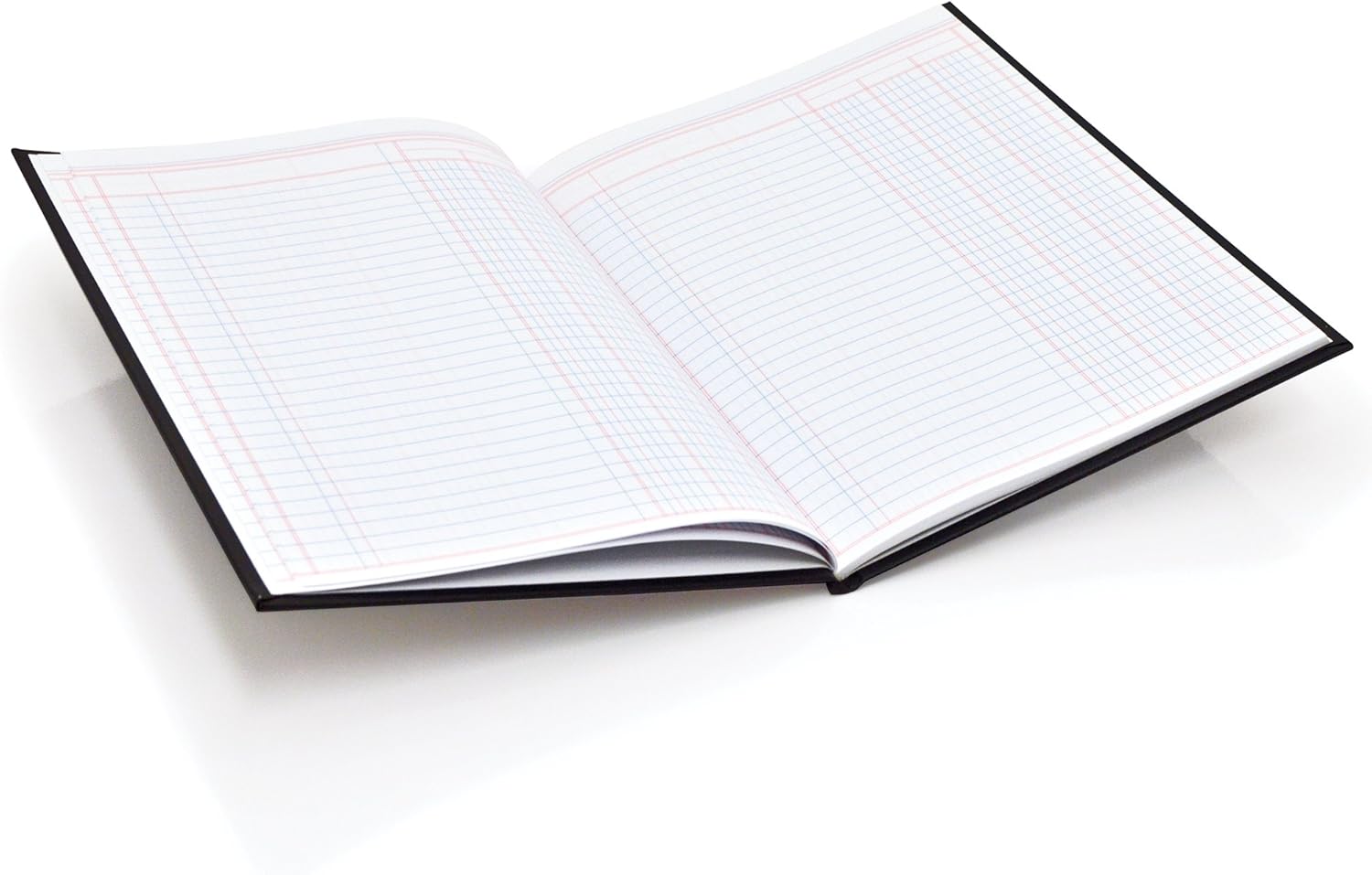 Wilson Jones 74100 Account Book, 9 1/4-Inch x 7-Inch, 30 Lines, 80 Pages, 3 Columns (W74103) : Office Products