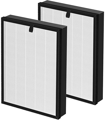 Amazon.com: Skymechy AP-528 True HEPA Replacement Filter