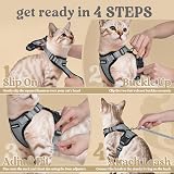 rabbitgoo Cat Harness and Lead Set Adjustable Escape Proof Harness Grey S view 8
