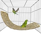 Bird Seagrass Mat 30" × 7" Parrot Natural Grass