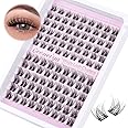 Geeneiya Natural Lash Clusters D Curl Eyelash Clusters 12+14MM Wispy Cluster Eyelash Extensions Short Individual Lashes Extension for Beginners, Soft Thin Band