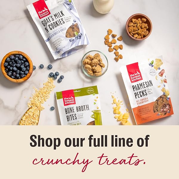 THE HONEST KITCHEN HUMAN GRADE DOG TREATS BONE BROTH BITES: ROASTED WITH TURKEY BONE BROTH & PUMPKIN, 8 OZ BAG
