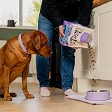 Pooch & Mutt Health & Digestion Minis Salmon & Sweet Potato 2kg view 2