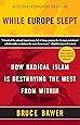 While Europe Slept: How Radical Islam is Destroying the West from Within
