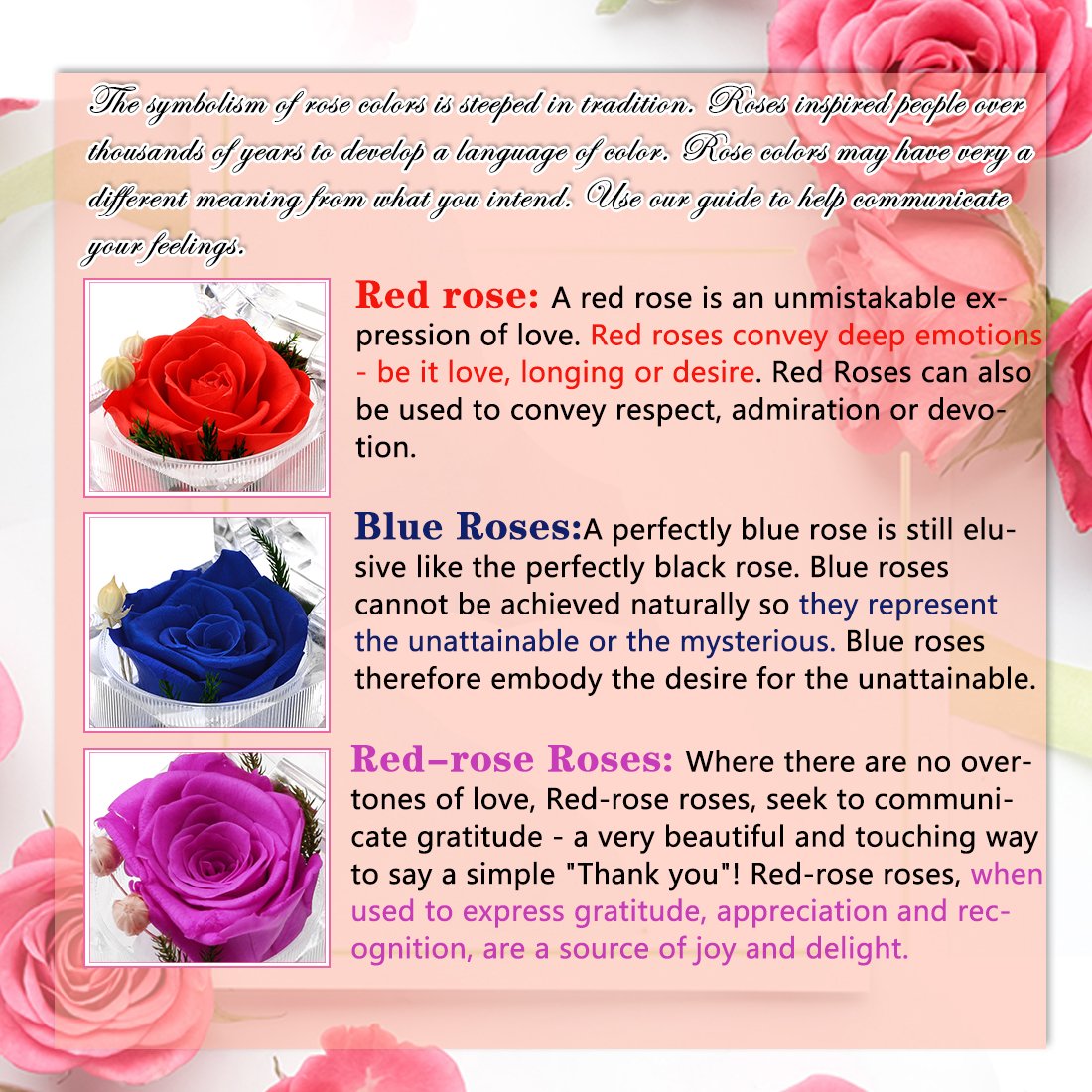 What Does A Blue Rose Mean All You Need Infos What Does A Blue Rose Mean All You Need Infos
