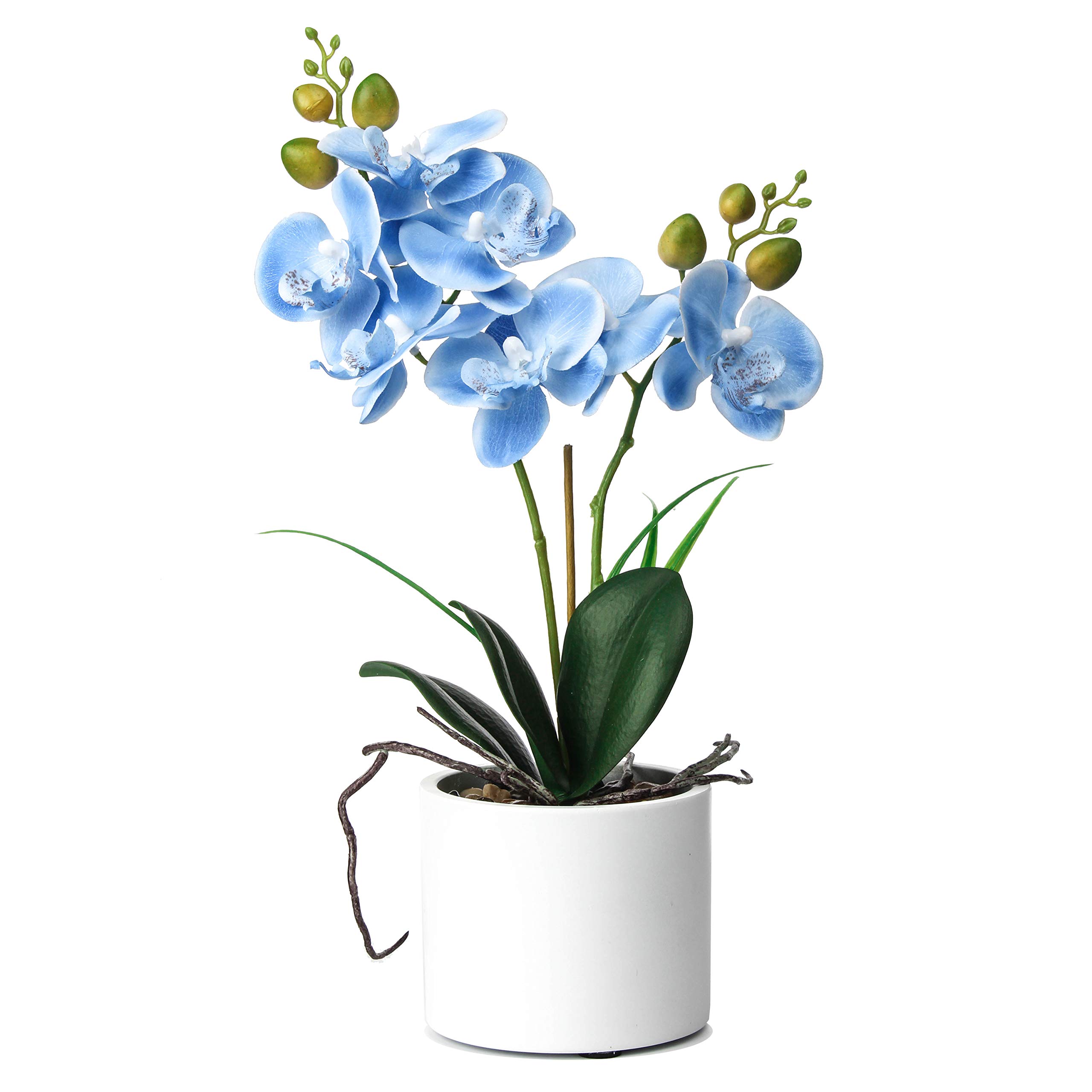 Alyphyly Artificial Flower Bonsai with Vase Vivid Orchid Flower Arrangement Phalaenopsis Flowers Pot for Home Office Décor Table Centerpiece House Decorations(Ceramic Pot/Blue Orchid)