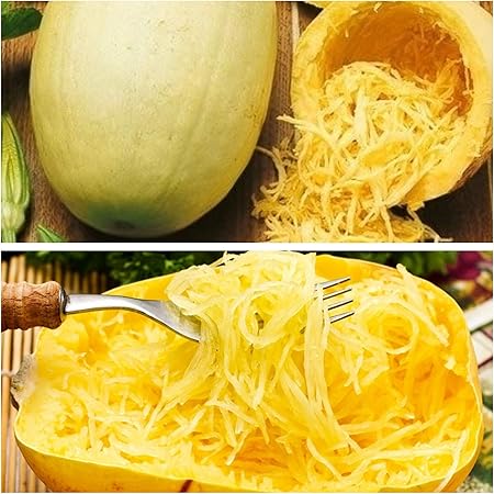 Courge Spaghetti Lot De Graines De 2 Varietes De Plantes