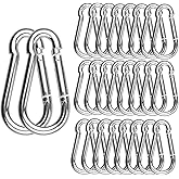 30 Pack 2 Inch Small Carabiner Clip Heavy Duty Spring Snap Hook M5 Stainless Steel Bulk Mini Locking Carabiner Clips for Key Hiking Camping Fishing Outdoor and Gym