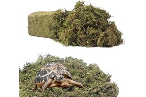 DMIPB 12 Quart Natural Reptiles Moss Bedding Terrarium Sphagnum Moss for Snakes Lizards, Frogs Bedding, Bioactive Terrarium Tanks, Organic Moss for Garden Orchids Plants