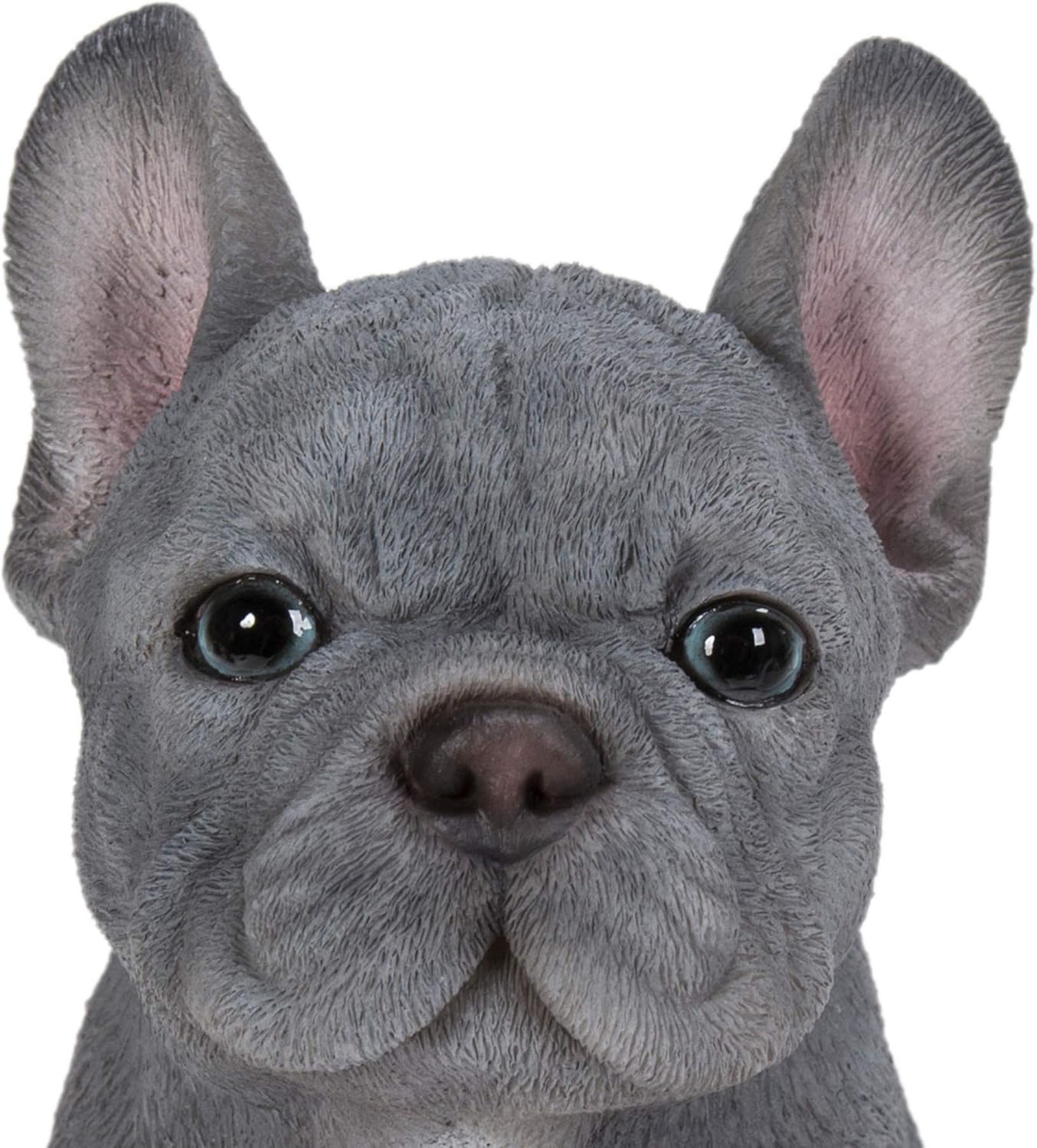 Vivid Arts - Pet Pals Blue French Bulldog Home or Garden Decoration (PP-BFRB-F), Multicolor - Image 4
