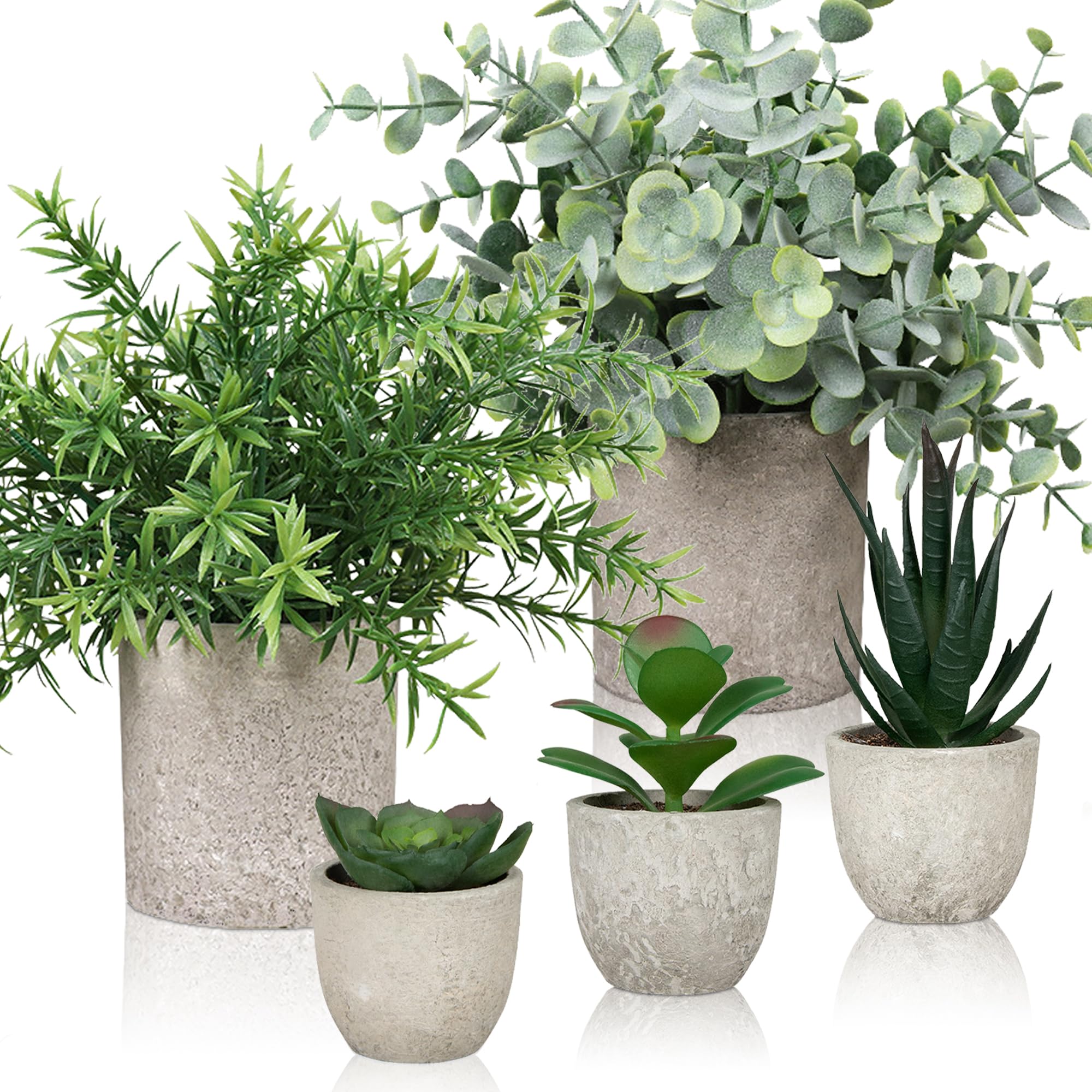 Duscdesp Pack of 5 Artificial Plants, Small Artificial Plant Like Real with Pot, Eucalyptus Succulents Rosemary Fake Plants for Office, Living Room, Windowsill, Indoor Decoration (5 Pots with
