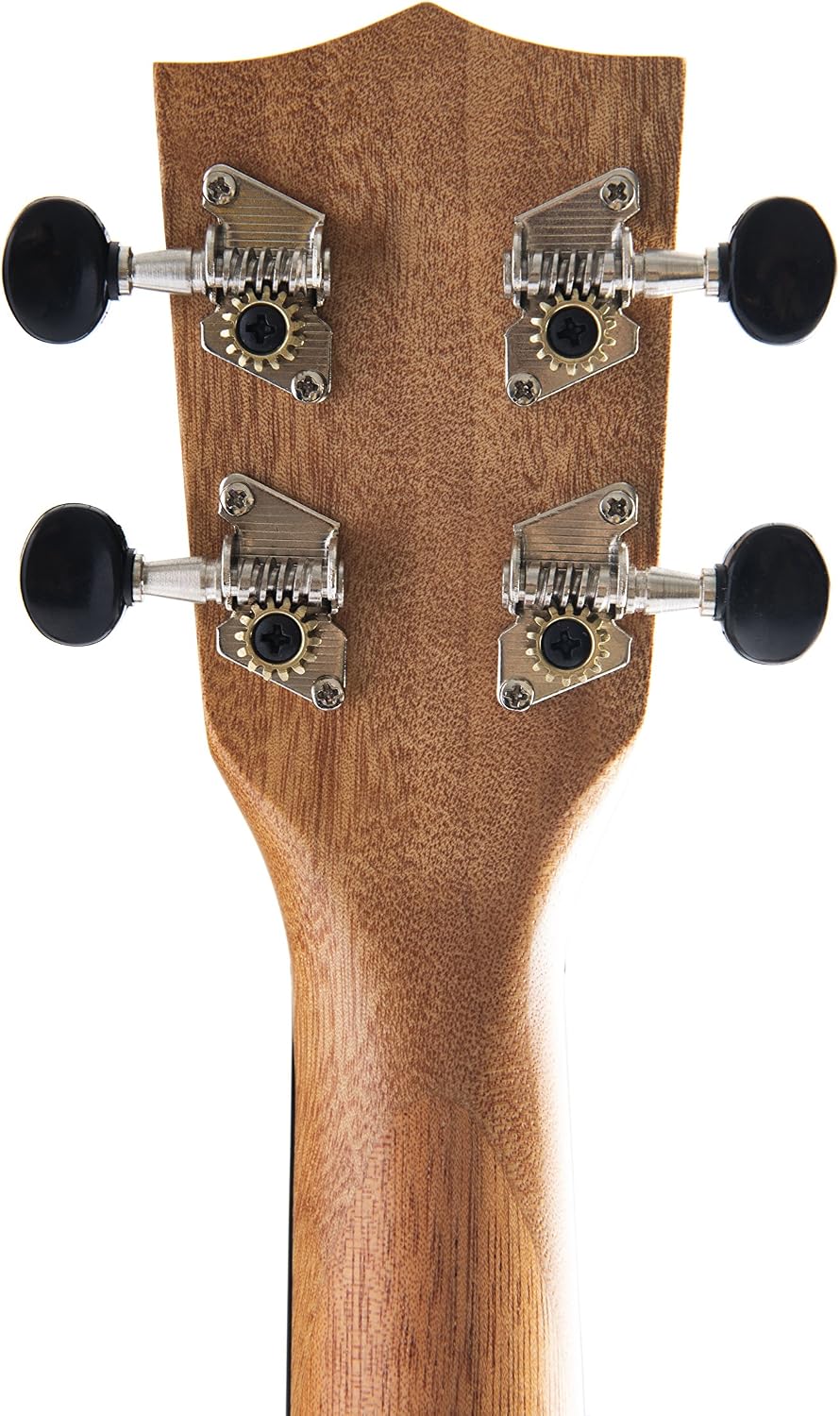 Kit de inicio oficial para aprender a tocar ukelele tenor Kala de caoba  satinada que incluye clases en línea aplicación para afinación y cuadernillo  Ukeleles Instrumentos de cuerda futakuchi-hakata.com