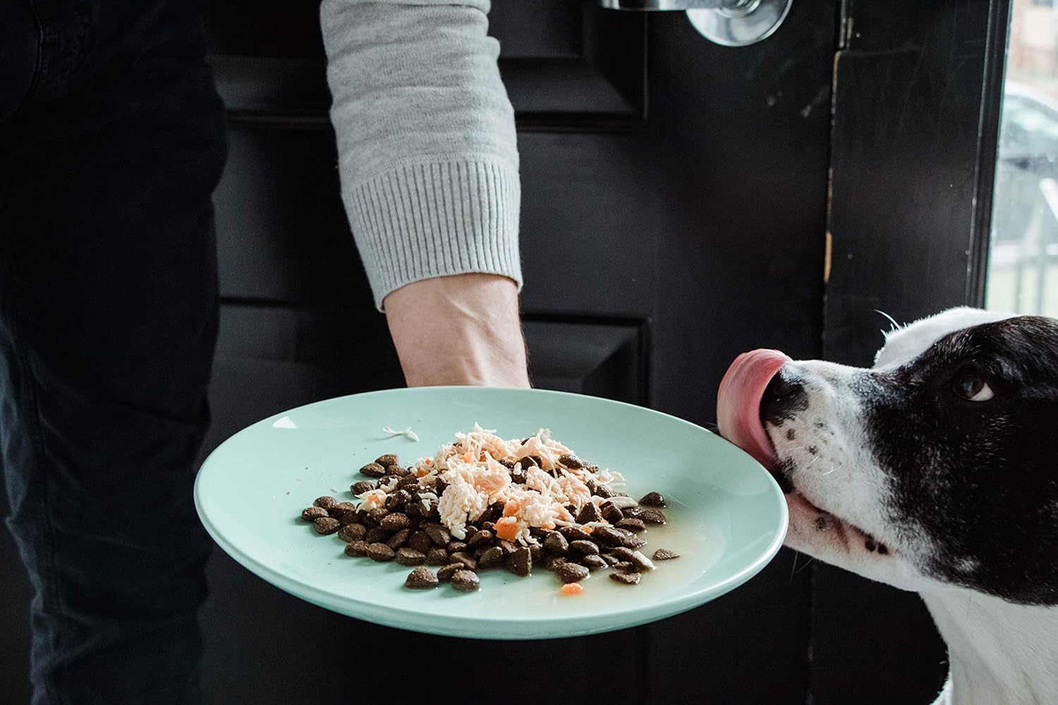 nulo dog food pouches