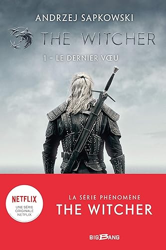 Download The Witcher (Sorceleur), T1 : Le Dernier Voeu PDF