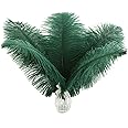 Ballinger Blackish Green Ostrich Feathers Bulk- 24pcs 12-14inch Big Feathers for Wedding Party Centerpieces Christmas Decor