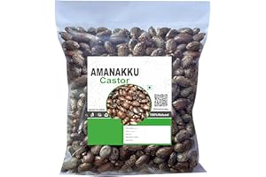 Ricinus Communis - 100Gram (3.52 Ounce) - Castor Beej - Arandi Ke Beej - Amanakku Beej
