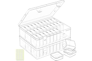 DILIBRA Bead Organizer Box, 62 Pcs Small Bead Organizers and Storage Plastic Cases, Mini Clear Diamond Painting Storage Containers Boxes with Hinged Lid for Jewelry, Bracelet, Seed, DIY Crafts