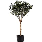 Nearly Natural 3.5ft. Olive Artificial Tree