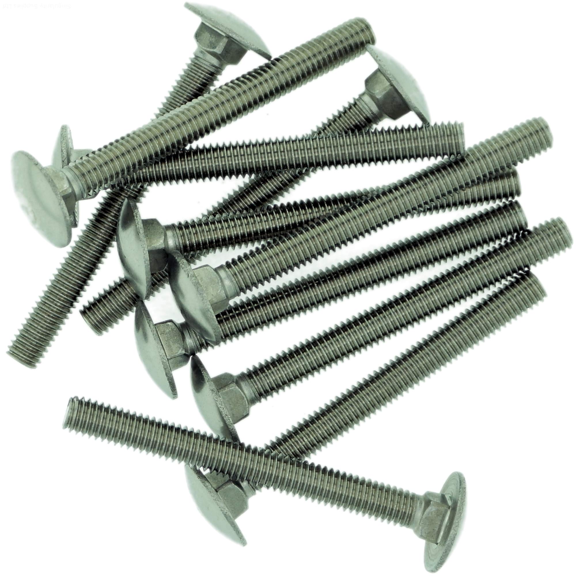 M8 (8mm x 50mm) Cup Square Carriage Bolt (Fully Threaded) - Stainless Steel (A2) (Pack of 10)