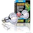 Exo Terra Sun Glo Halogen Basking Spot Lamp – 50W Reptile Light Bulb, Broad Spectrum Daylight, Enhances Coloration, Promotes Health, PT2181