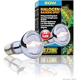 Exo Terra Sun Glo Halogen Basking Spot Lamp | 50W Reptile Light Bulb, Broad Spectrum Daylight, Enhances Coloration, Promotes Health, PT2181