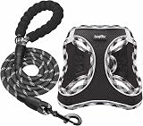 haapaw Dog Harness and Lead Set No Pull Reflective Step-in Size XS-SM view 1
