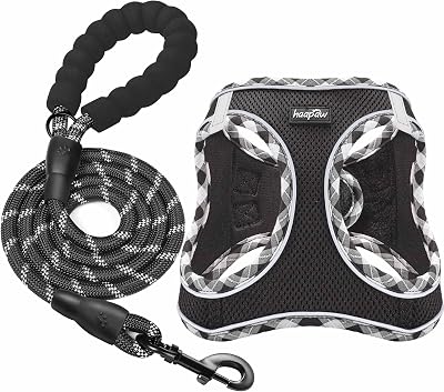 haapaw Dog Harness and Lead Set No Pull Reflective Step-in Size XS-SM
