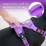 PoyPet No Pull Dog Harness Reflective Easy On Front Back D Ring L Purple view 4