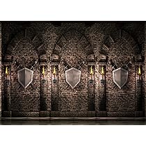 BELECO 3x2.5m Fabric Gothic Castle Backdrop Antique Black Brick Stone