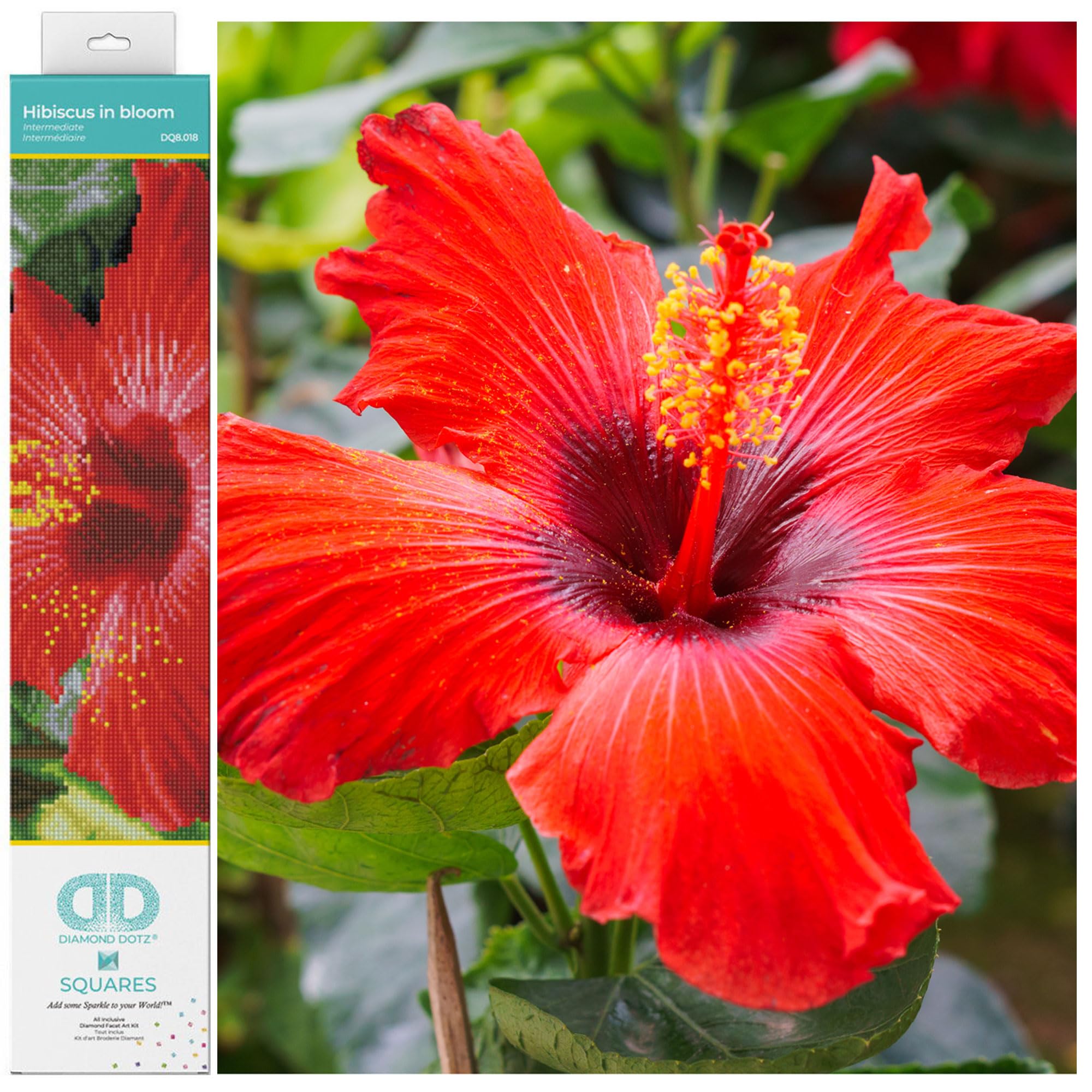 DIAMOND DOTZ Squares DQ8 Intermediate Kit Colourful