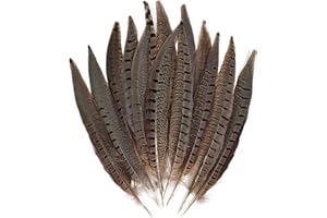 MAOFENG 12pcs Natural Feathers Male Ringneck Pheasant Tails Feathers 8-10inch 20-25cm for Crafts Wedding Party Performance Home DIY Decoration,Male Pheasant Feathers