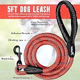 Candure Dog Lead with Soft Padded Handle 5 Ft Reflective Red view 6