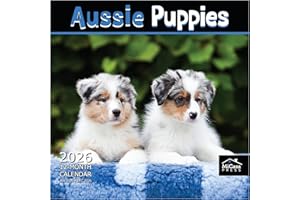 MICASA PRESS MICASA Aussie Puppies Australian Shepherds 2026 Wall Calendar 12 Month | 12" x 24" Open | Thick & Sturdy Paper | Giftable | Calendar 2026