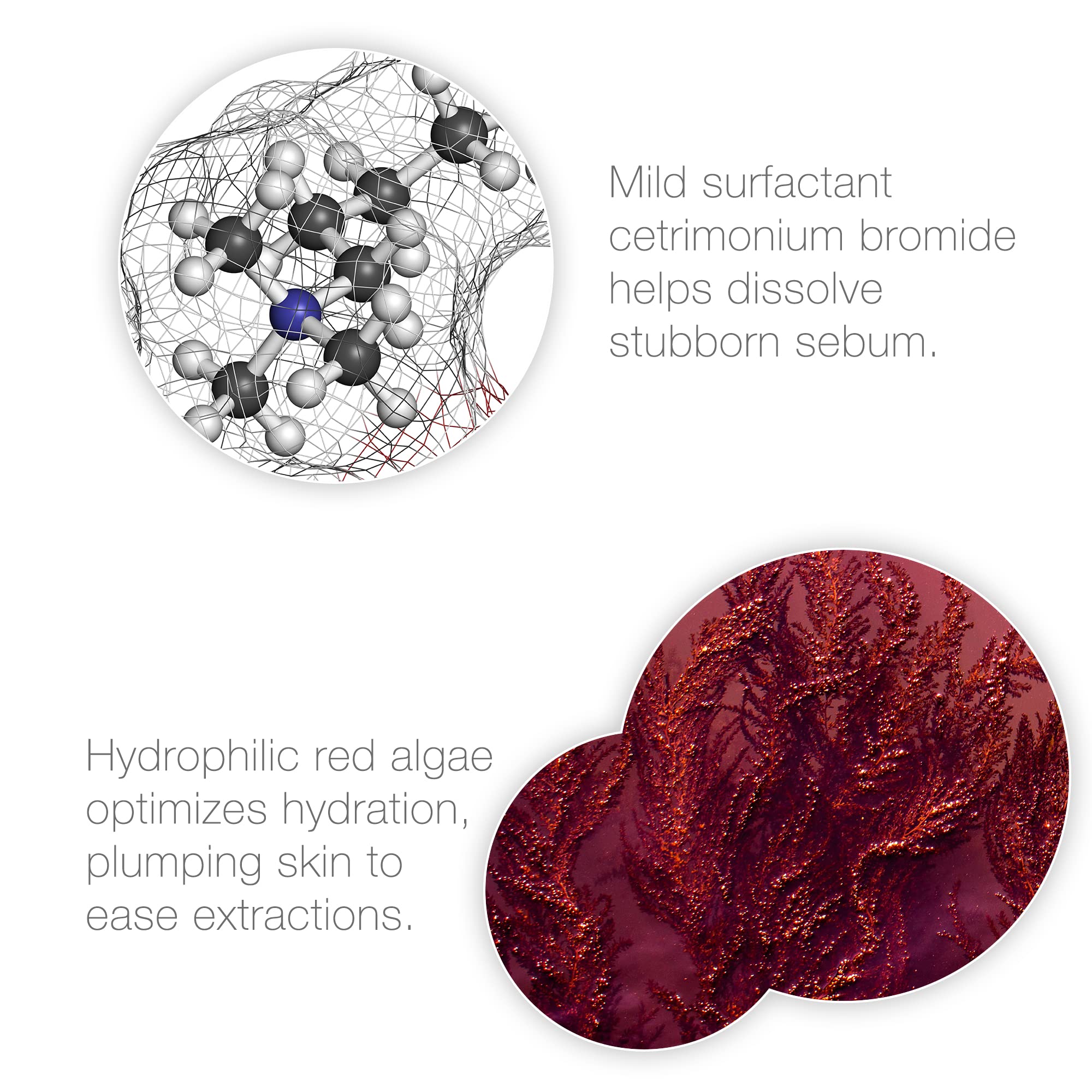 Bio-Therapeutic Decongest - Gentle Formula prepares Skin for deep Cleansing and extractions.