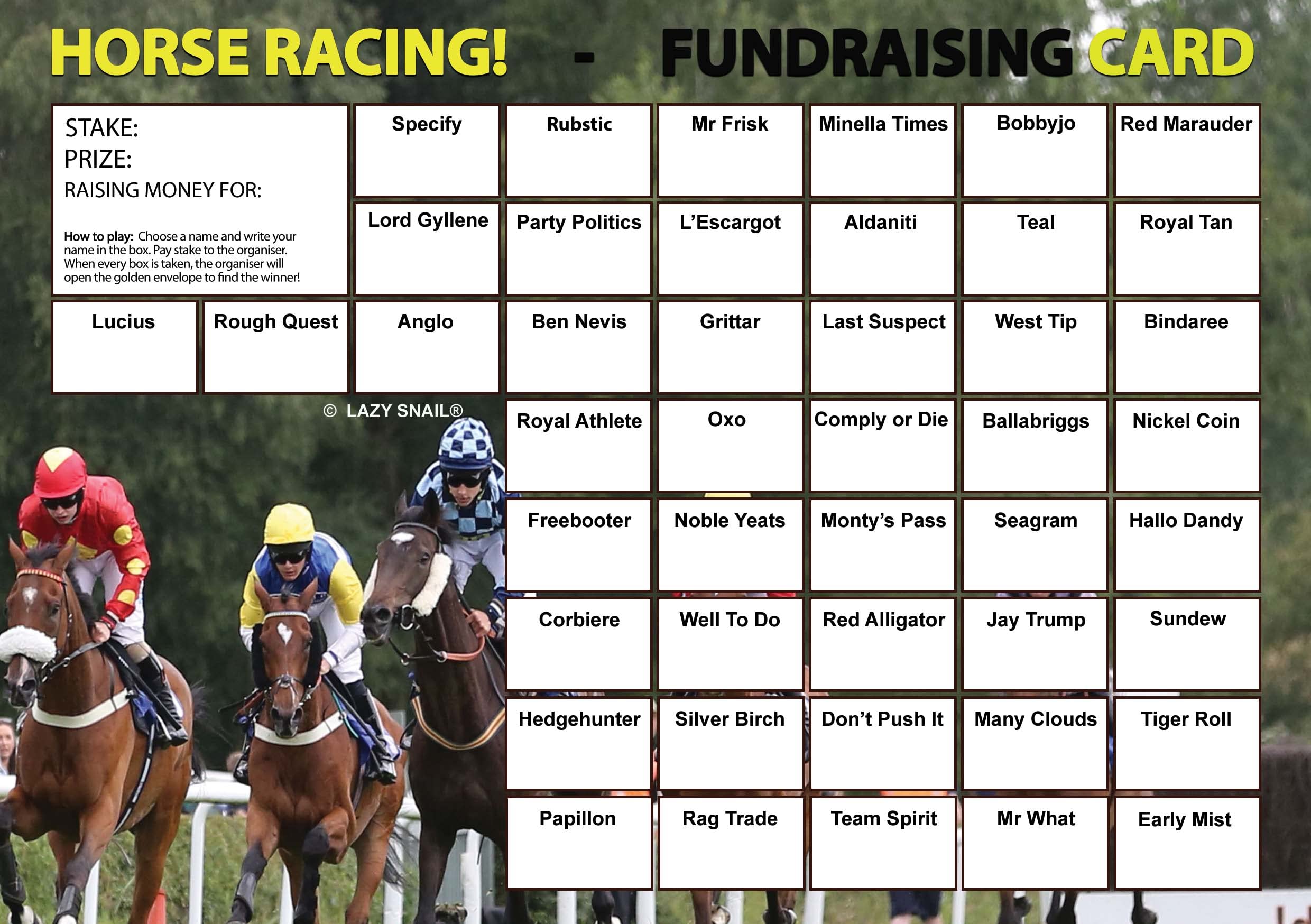 Lazy Snail ‘Horse Racing’ Fundraising Cards – Pack of 8 (A5 Size, 45 Squares per Card) – Fun Golden Winner Envelopes – Full Colour Charity Fundraising Game for Sports Clubs, Schools & Events