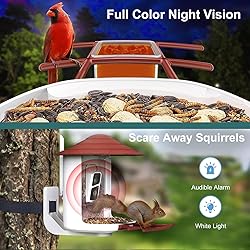 birdsnap® TUC Smart Bird Feeder with Camera 2K
