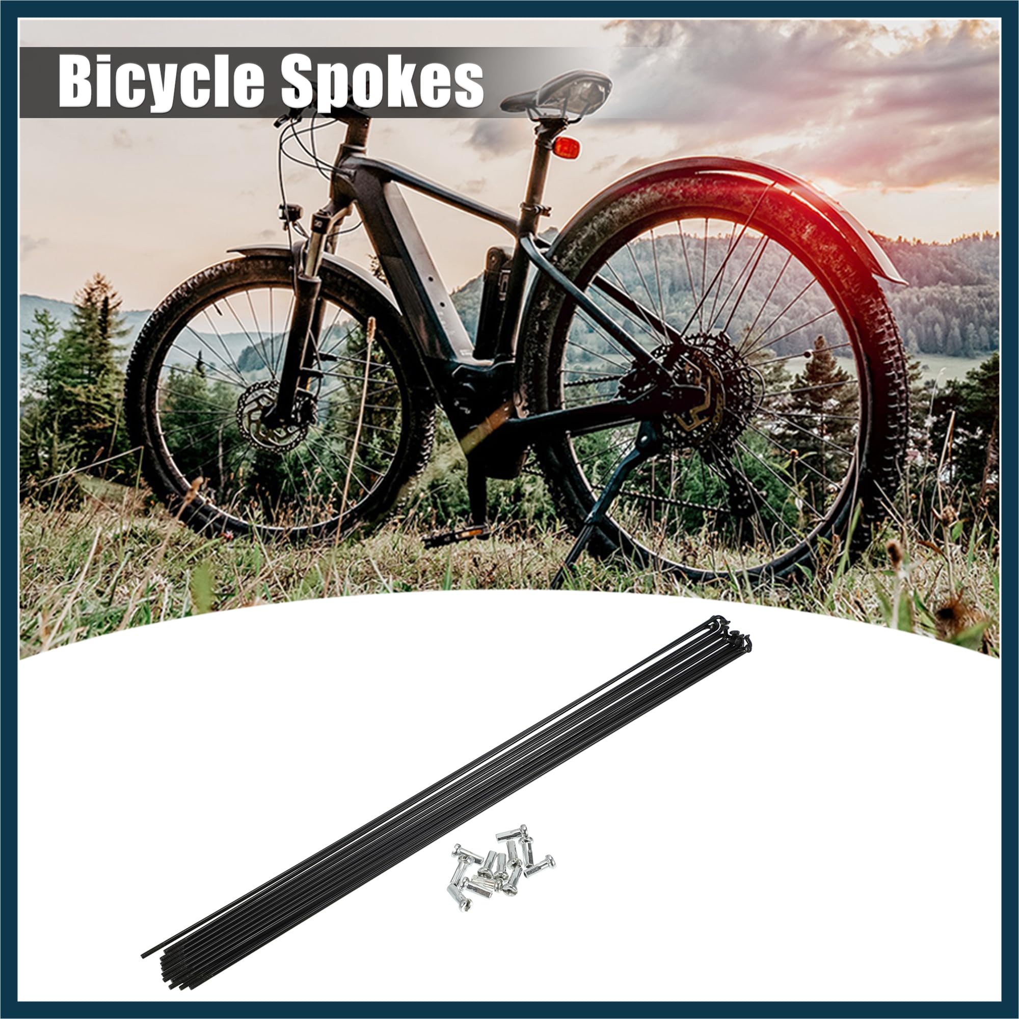 View 2