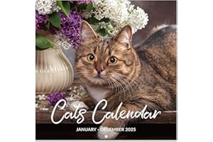 LEMOME HOME 2025 Calendar - Wall Calendar 2025, Jan. 2025 - Dec. 2025, 12" x 24" (Open), 2025 Wall Calendar with Unruled Blocks - Cutie Cat