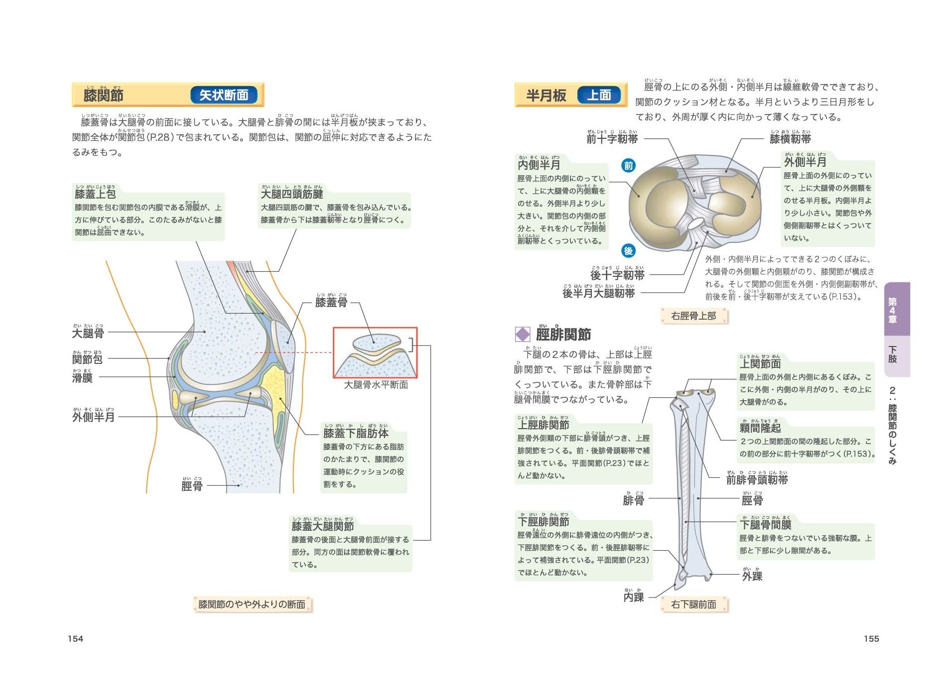 筋肉と関節 しくみと動きが見える事典 Amazon Com Books