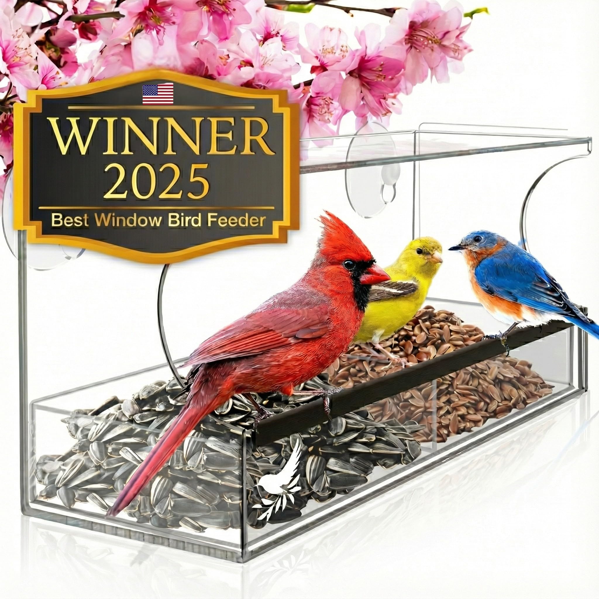 Window Bird Feeder by Nature's Hangout - Award-Winning Transparent Acrylic Bird Feeders for Outdoors, No Assembly, Strongest Suction Cups, Birds Watching for Cats, Easy-to-Clean Birdhouse Feeder