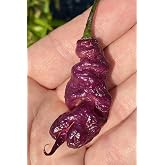 Pink Tiger x Carolina Reaper Hybrid Premium Seeds for Planting Packet Record Hottest in The World + More