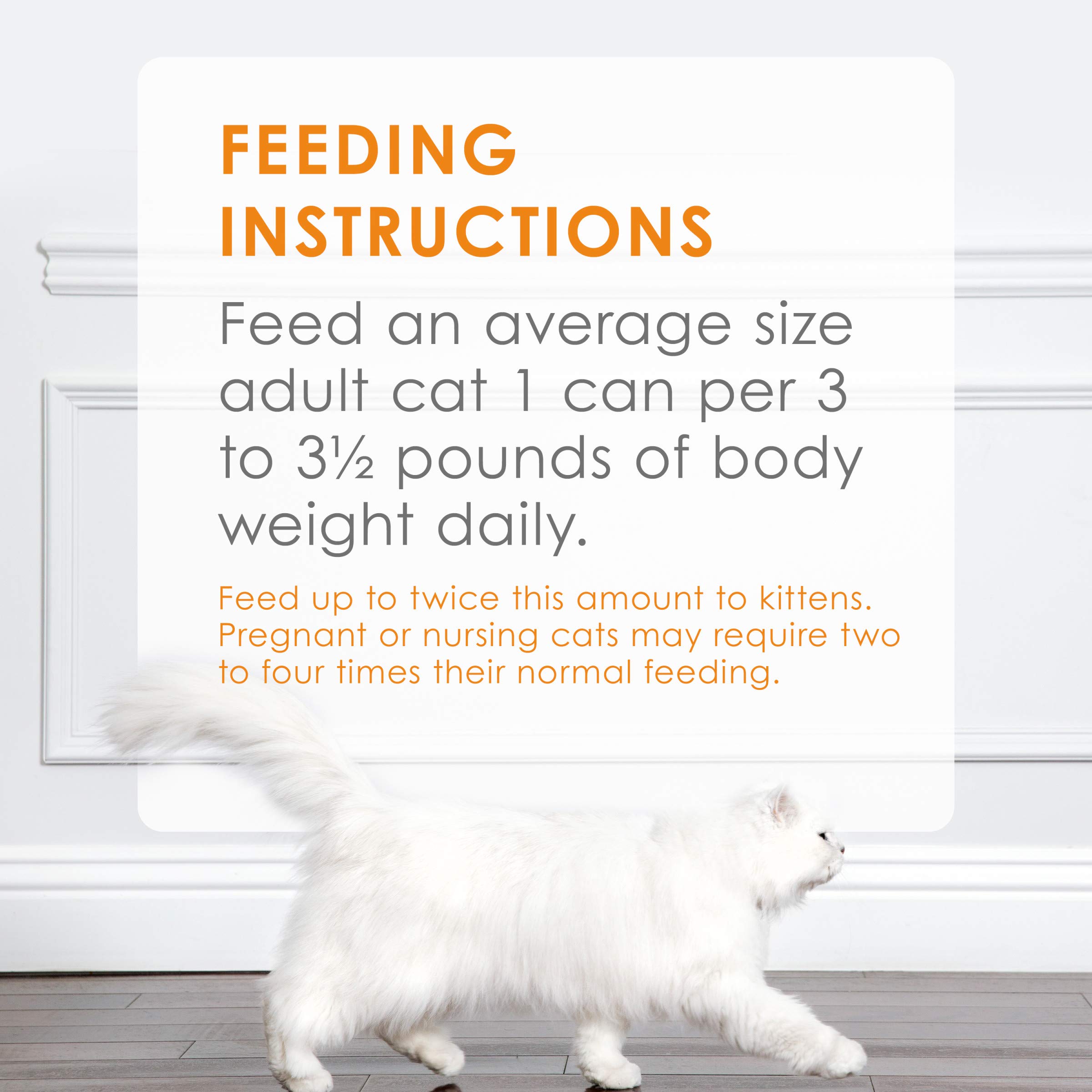 fancy feast dog breed