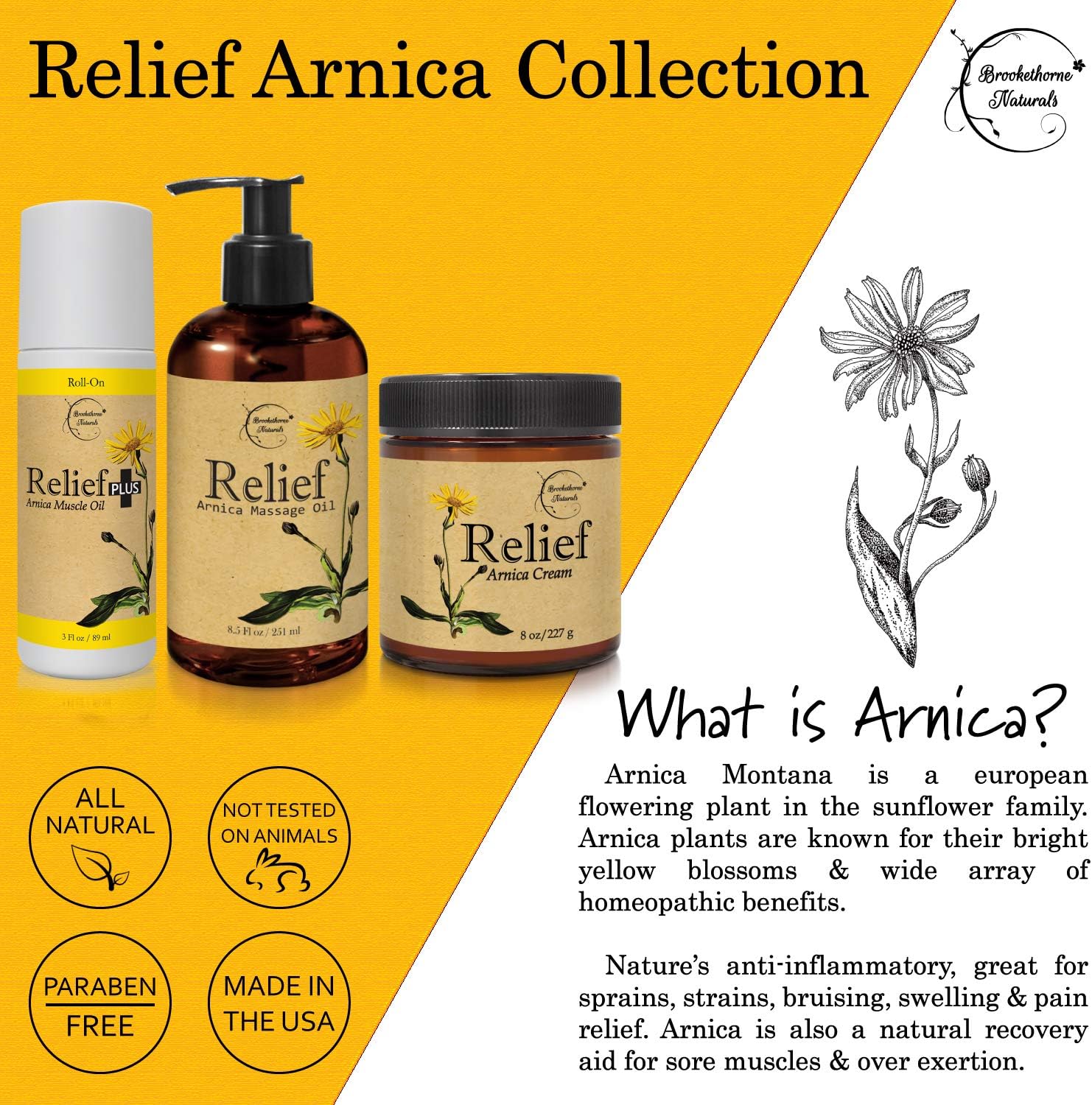 Relief Arnica Massage Oil – Great for Sports & Athletic Therapeutic Massage – All Natural - Arnica Montana for Sore Muscle Relief. Contains Sweet Almond, Jojoba, Grapeseed & Essential Oils 8.5oz: Health & Personal Care