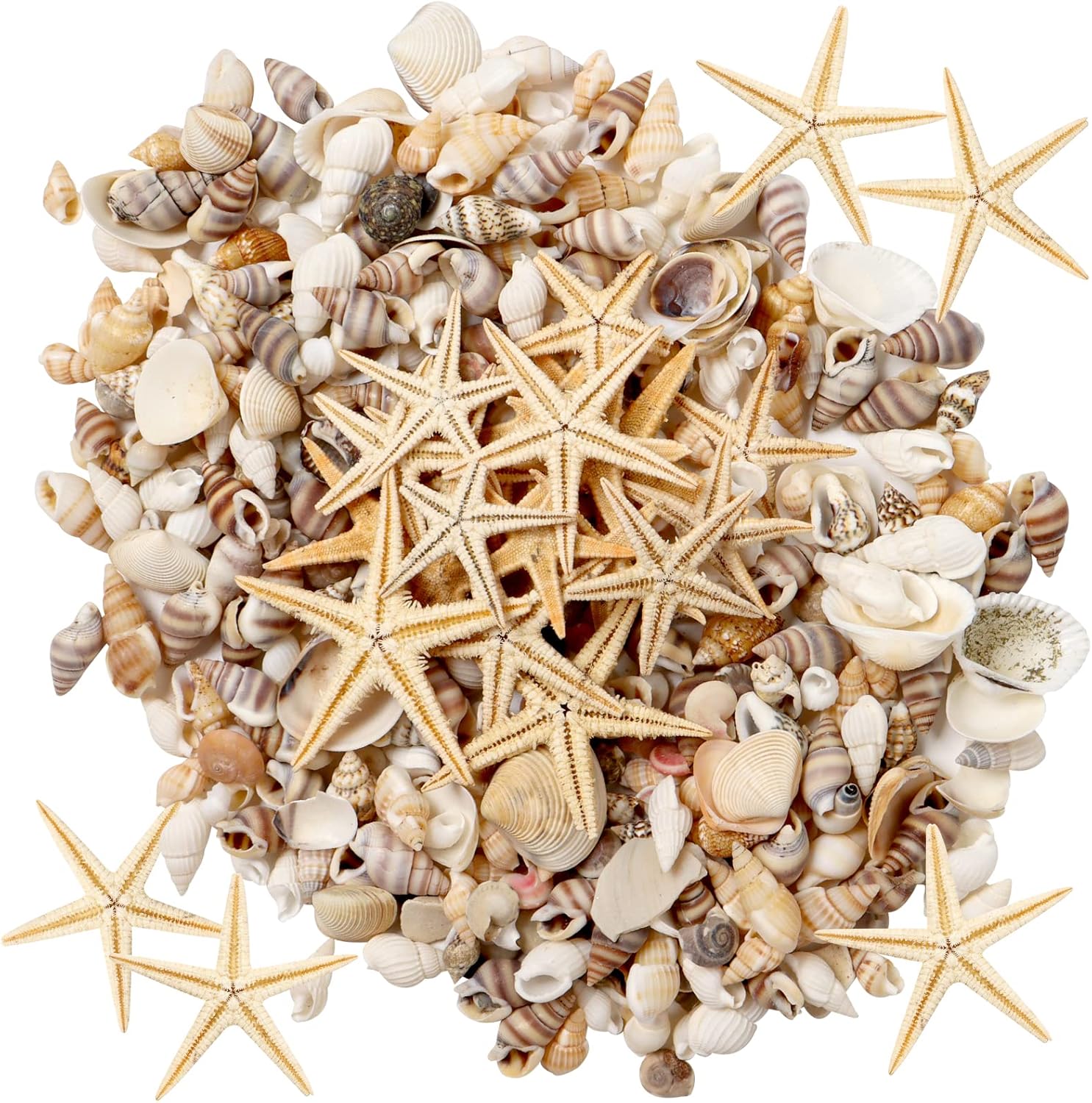 Vase Fillers - popokk Mixed Beach Seashells Starfish Tiny Sea Shells Mixed Ocean Beach Seashells, Natural Starfish for Home Decorations,Beach Theme Party, Candle Making, Wedding Decor, DIY Crafts, Fish Tank and