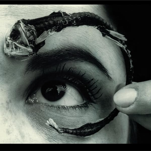 Mr Bungle-Mr Bungle: Amazon.com.br: CD e Vinil
