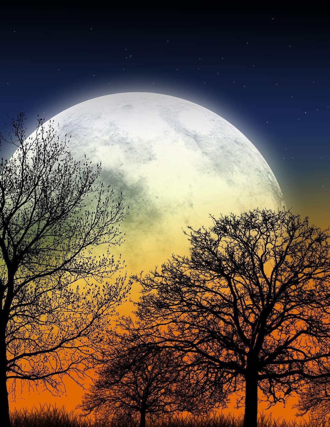 Full Moon Journal Wolf Full Moon Silhouettes Of Winter Trees Night Sky Full Of Twinkling Stars Memory Notebook Trip Journal Travel Diary Mountain Press Wolf 9781095415887 Amazon Com Books