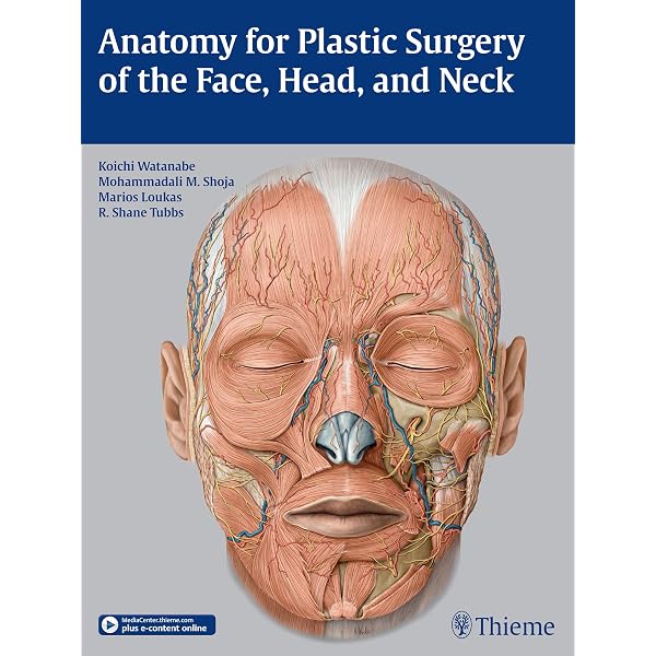 Local Flaps in Facial Reconstruction: 9781455753161: Medicine
