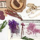 RUGBOL Dried Purple Lavender Flowers - Low Maintenance Floral Decor view 4